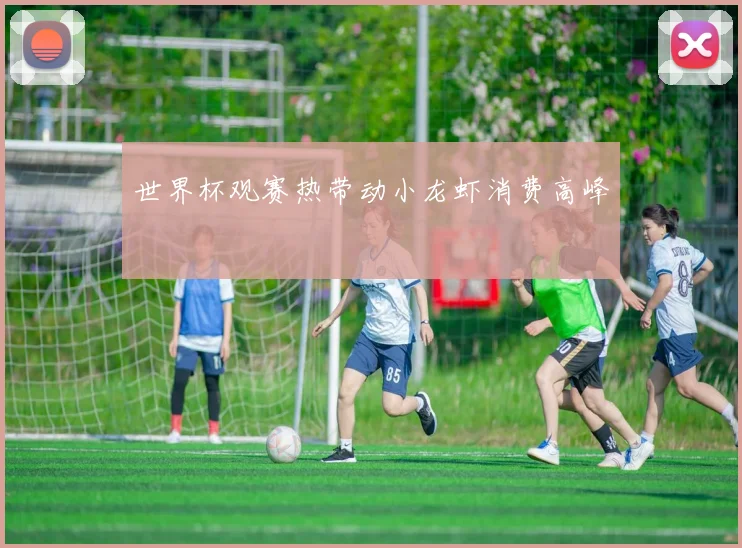 世界杯观赛热带动小龙虾消费高峰