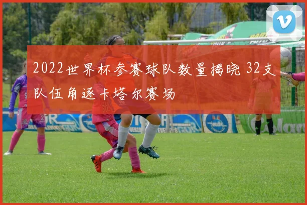 2022世界杯参赛球队数量揭晓 32支队伍角逐卡塔尔赛场