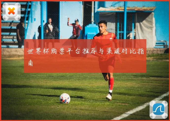 世界杯购票平台推荐与渠道对比指南