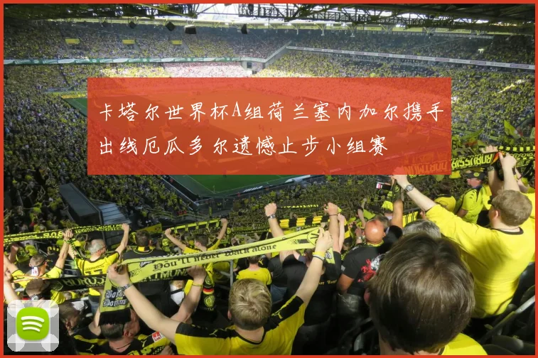 卡塔尔世界杯A组荷兰塞内加尔携手出线厄瓜多尔遗憾止步小组赛