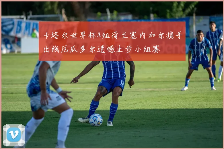 卡塔尔世界杯A组荷兰塞内加尔携手出线厄瓜多尔遗憾止步小组赛