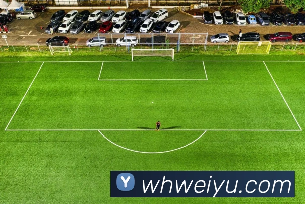 人人体育官网直播发展历程